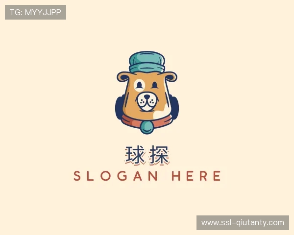 解读球探